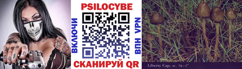 цены наркотик  Серов  Псилоцибиновые грибы Psilocybe 